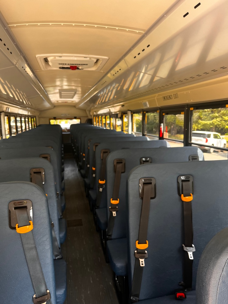 new bus
