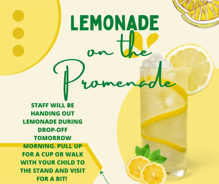 lemonade day 